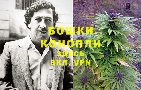 тгк Богородск