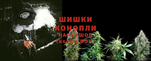 прущий лед Богородицк