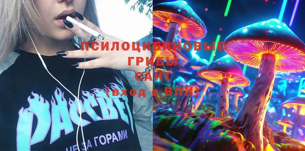 прущий лед Богородицк