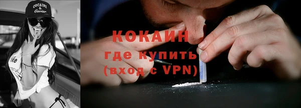 PSILOCYBIN Богданович