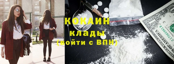 тгк Богородск