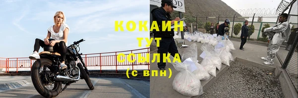 молекула духа Строитель