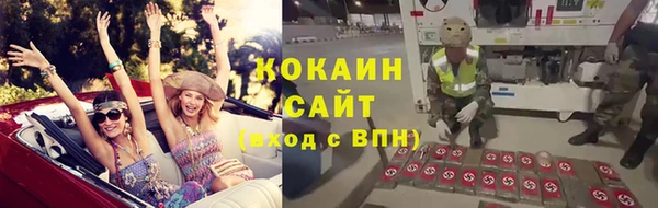 PSILOCYBIN Богданович