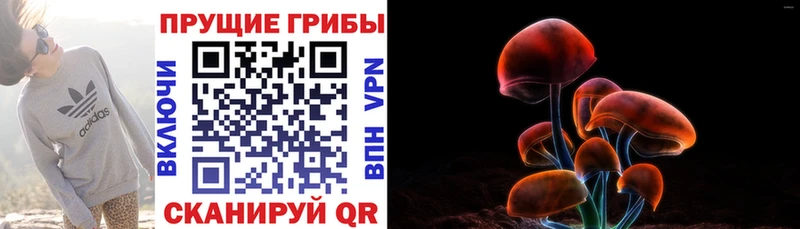 Галлюциногенные грибы Magic Shrooms  Дмитровск 